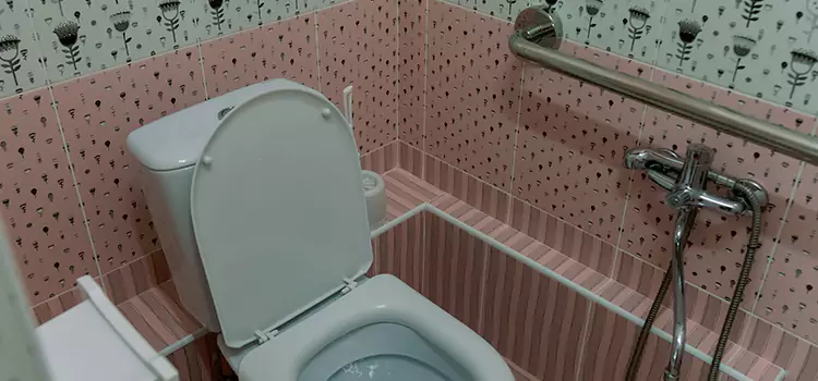 Meeting Diverse Needs With Accessible Restroom Solutions in Pharr, TX